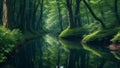 A tranquil fairy tale forest and the peaceful sounds of flowing water