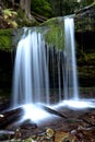 The tranquil Fern Falls. Royalty Free Stock Photo