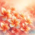 Tranquil Floral Symphony: Soft Orange Plumeria Frangipani Canvas Royalty Free Stock Photo