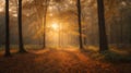 A tranquil forest at dusk, where the amber glow of the setting sun filters through rustling leaves