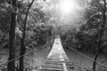 Tranquil Forest Footbridge Black and White