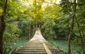 Tranquil Forest Footbridge