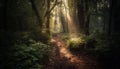 Tranquil forest footpath, mystery in the air generated by AI