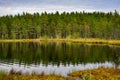 Tranquil Forest Lake with Pine Tree Reflections Royalty Free Stock Photo