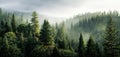 The tranquil forest landscape shrouded in morning mist and sunlight. AI generated image Royalty Free Stock Photo