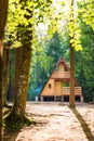 Tranquil forest scene. Wooden house in a forest