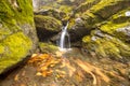 Tranquil forest stream with motion blur