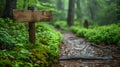 eco-friendly travel options, tranquil forest trail featuring a wooden signpost highlighting nearby eco-friendly travel