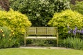 Tranquil garden corner with wooden bench. Royalty Free Stock Photo