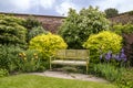 Tranquil garden corner with wooden bench. Royalty Free Stock Photo