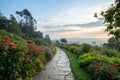 Garden path in the morning Royalty Free Stock Photo