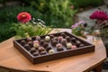 tranquil garden setting with tray of assorted chocolate truffles, including raspberry and hazelnut flavors Royalty Free Stock Photo