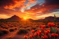 The tranquil glow of a desert sunset, illuminating cactuses and sculpted sand dunes. Royalty Free Stock Photo