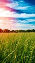 Tranquil green field under blue sky with swaying grasses and distant trees