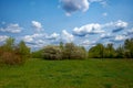 A tranquil green field under a clear blue sky, dotted with white clouds. Trees and bushes line the horizon, adding depth to the Royalty Free Stock Photo