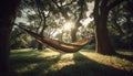 Tranquil hammock sways under autumn tree branch generated by AI