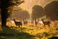 Tranquil Harmony: Graceful Deer Grazing in Golden Meadow Royalty Free Stock Photo