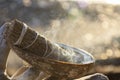 Smoldering White Sage Smudge Stick Close Up Royalty Free Stock Photo