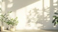 Tranquil Indoor Scene with Plant and Sunlight Royalty Free Stock Photo