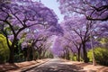 Tranquil Jacaranda trees park. Generate Ai