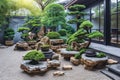 Tranquil Japanese Rock Garden with Bonsai