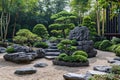 Tranquil Japanese Rock Garden with Bonsai