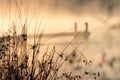 Tranquil lake filled with a mysterious mist, giving the illusion of smoke billowing from its surface