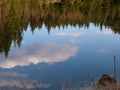 Tranquil lake in forest with fir trees and reflections in water Royalty Free Stock Photo