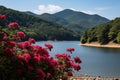 lake reflecting sky and mountains with colorful flower meadow and birds nesting