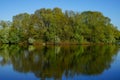 Tranquil Lakeside Scene Reflecting Trees and Sky Royalty Free Stock Photo