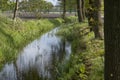 Tranquil landscape at a ditch, grasses and leaves on the edge of the ditch, the blue sky reflected in the water Royalty Free Stock Photo