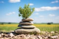 Tranquil landscape featuring stacked stones on vibrant green grass beneath a clear blue sky Royalty Free Stock Photo