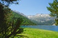 Tranquil landscape of Lake of Oredon in Pyrenean mountain range at summertime. Beach shot through pine tree, France