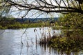 Tranquil landscape at a lake, with the vibrant sky, white clouds and the trees reflected symmetrically in the clean blue water Royalty Free Stock Photo