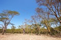 Tranquil landscape in South Africa