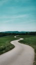 Tranquil landscape with winding road, green fields, clear sky, and distant forest Royalty Free Stock Photo
