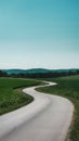 Tranquil landscape with winding road, green fields, clear sky, and distant forest Royalty Free Stock Photo