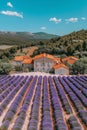 Tranquil lavender field with copy space, vertical shot for relaxation and aromatherapy