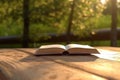 Tranquil learning scene, Book rests on wooden bench in park