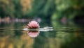 Tranquil lotus blossom reflects beauty in nature serene pond generated by AI Royalty Free Stock Photo
