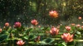 The tranquil lotus pond transformed into a mesmerizing explosion of bright colorful flowers Royalty Free Stock Photo