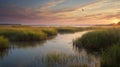Idyllic Marsh Landscape at Sunrise with Birds Soaring Through the Sky Royalty Free Stock Photo
