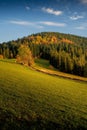 Tranquil meadow of autumn in the Gorce mountains, Poland Royalty Free Stock Photo