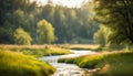 A tranquil meadow with a winding river