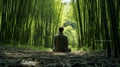Tranquil meditation in bamboo grove