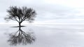 Tranquil minimalism lone tree, serene reflection, nature backdrop, Ai Generated