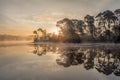 Tranquil misty lake at dawn, south of the Netherlands