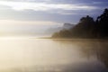 Tranquil Misty morning layered landscape of trees reflected in a still lake Royalty Free Stock Photo