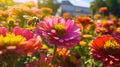 Tranquil Moment A Bee Hovering Over a Beautiful Pink Flower in a Field of Blossoms AI generated