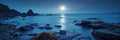 Tranquil moonlit ocean with rocky shore and starry night sky Royalty Free Stock Photo